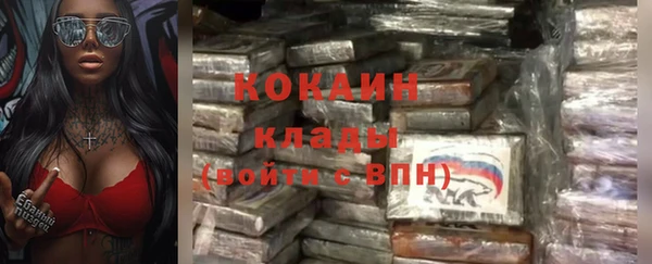 ПСИЛОЦИБИНОВЫЕ ГРИБЫ Новодвинск
