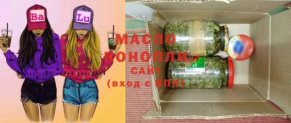 соль ск Новозыбков