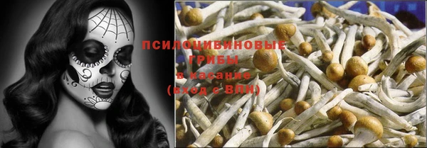 соль ск Новозыбков
