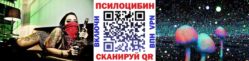 KRAKEN зеркало  Сосновка  Галлюциногенные грибы Psilocybe 