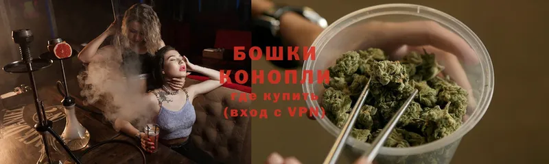 Конопля Bruce Banner  хочу   Сосновка 